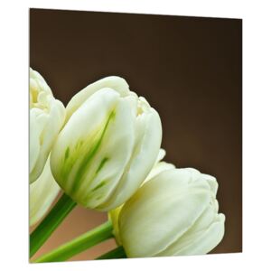 Tulipános kép (Modern kép, Vászonkép, {dim}})