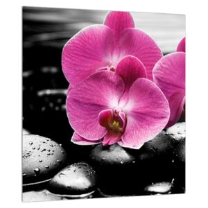 Orchidea virágok képe (Modern kép, Vászonkép, {dim}})