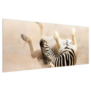 Fekvő zebra képe (Modern kép, Vászonkép, {dim}})