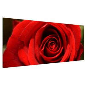 Rózsa virág részletes képe (Modern kép, Vászonkép, {dim}})