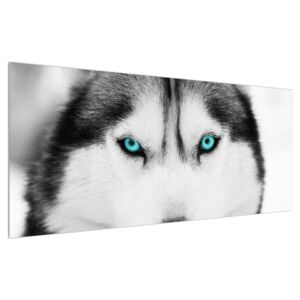 Husky kutya képe (Modern kép, Vászonkép, {dim}})