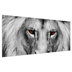 Fekete-fehér oroszlán kép (Modern kép, Vászonkép, 120x50 cm)