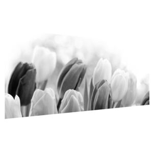 Bimbózó tulipánok fekete-fehér képe (Modern kép, Vászonkép, {dim}})