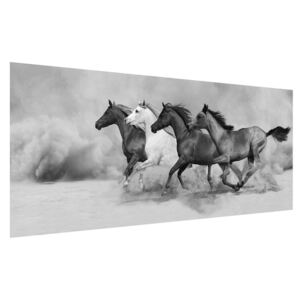 Fekete fehér kép lovakkal (Modern kép, Vászonkép, {dim}})