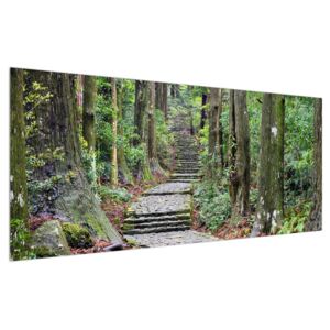 Kő lépcsők az erdőben (Modern kép, Vászonkép, {dim}})