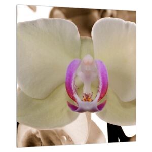 Orchideák képe (Modern kép, Vászonkép, {dim}})