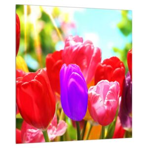 Tulipános kép (Modern kép, Vászonkép, {dim}})