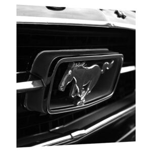 Mustang részletes képe (Modern kép, Vászonkép, {dim}})