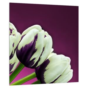 Tulipánok képe (Modern kép, Vászonkép, {dim}})