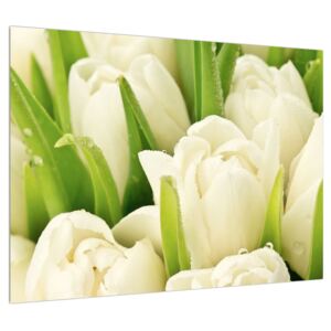 Tulipán virág képe (Modern kép, Vászonkép, 70x50 cm)