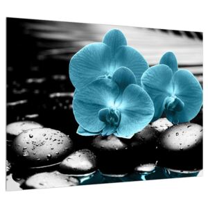 Kék orchidea képe (Modern kép, Vászonkép, 70x50 cm)