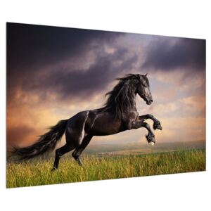 Lovas kép (90x60 cm)