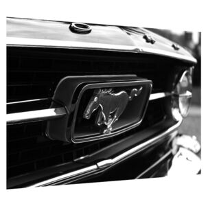 Mustang részletes képe (Modern kép, Vászonkép, 70x50 cm)