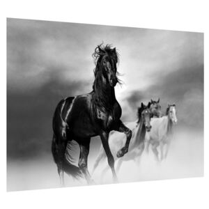 Ló képe (Modern kép, Vászonkép, 70x50 cm)