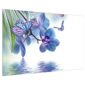 Lepke az orchideán (90x60 cm)