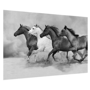 Fekete fehér kép lovakkal (90x60 cm)