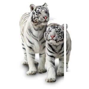 Fehér tigris képe (90x60 cm)
