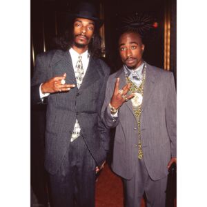 Snoop Dogg & Tupac - Suits Plakát, (59,4 x 84,1 cm)