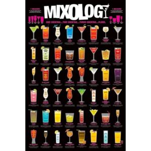 Plakát Mixology, (61 x 91.5 cm)