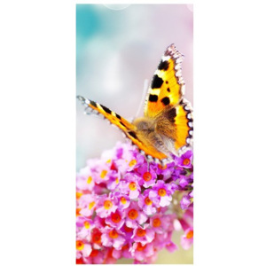 Nyomatos roletta Pillangó virágokon 68x150cm FR2351A_1MB