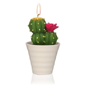 Cactus Fila kaktuszformájú díszgyertya - Versa