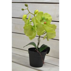 Mű cserepes orchidea - zöld (m. 30cm) 105 méret