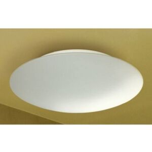 Twist PALNAS-1105001-01 - Fürdőszobai mennyezeti Lámpa - Méret: 100x250 mm