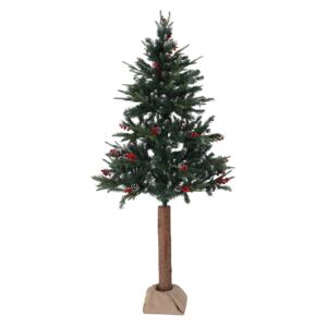 Karácsonyfa tönkön, 180 cm, PNIK TYP 1