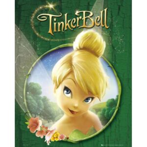 Poszter Disney Fairies - Tinkerbell Movie