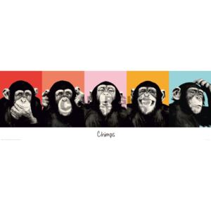 Poszter The Chimp Funny Monkeys - Compilation