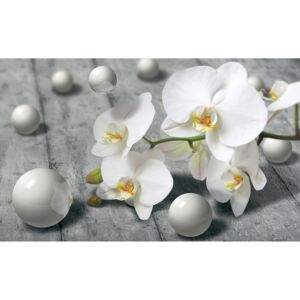 3D Poszter tapéta Orchidea papír 368 x 254 cm