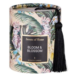 SCENTS OF HOME illatgyertya, Bloom & Blossom 8cm