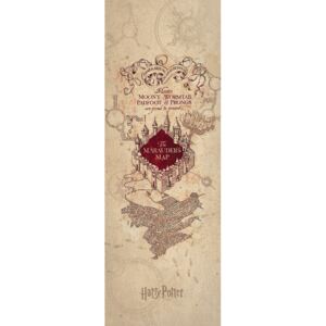 Művészi plakát Harry Potter - Marauder's Map