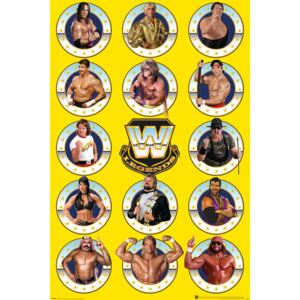 Plakát WWE - Legends Chrome, (61 x 91.5 cm)