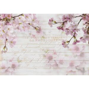 Vintage Chic Cherry Blossom Wood Planks Tapéta, Fotótapéta, (368 x 254 cm)