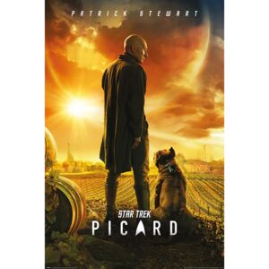 Buvu Plakát - Star Trek Picard (Picard Number One)