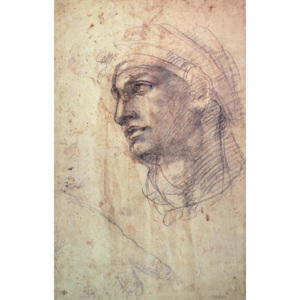 Study of a Head Festmény reprodukció, Michelangelo Buonarroti