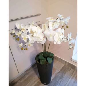 Rattan hatású barna kaspó fehér prémium minőségű orchidea dekorral