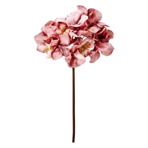 WINTERGREEN hortenzia, sötét rózsaszín 29 cm