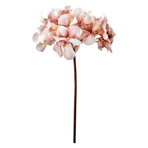 WINTERGREEN hortenzia, rózsaszín 29 cm