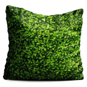 Ivy zöld párna, 40 x 40 cm - Oyo home