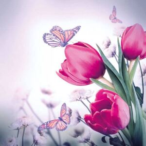 Dekupázs szalvéta - Butterfly & Tulips - tulipános