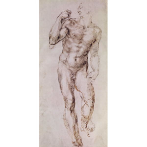 Sketch of David with his Sling, 1503-4 Festmény reprodukció, Michelangelo Buonarroti