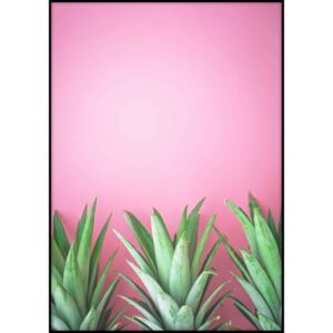 Three Pineapples plakát, 40 x 30 cm - Imagioo