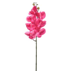 Orchidea 7 virággal pink