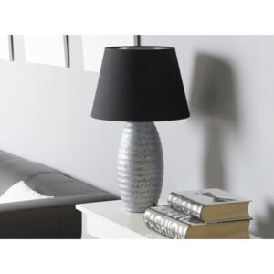 Beliani Ezüst színű asztali lámpa, Olvasólámpa, EBRO
