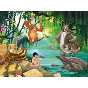Buvu Vlies fotótapéta: The Jungle Book - 360x270 cm