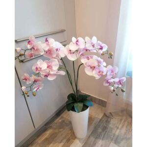 4 virágos orchidea padlóvázás rózsaszín