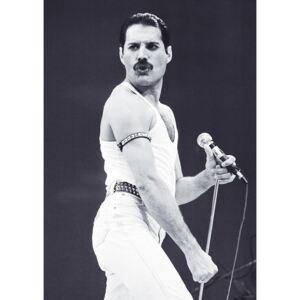 Freddie Mercury - Live Aid Plakát, (59,4 x 84,1 cm)