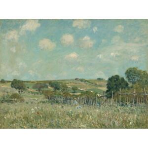 Alfred Sisley - Meadow, 1875 Festmény reprodukció